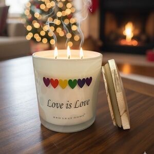 Pride Love is Love  Rule 3 Wick Candle (New)